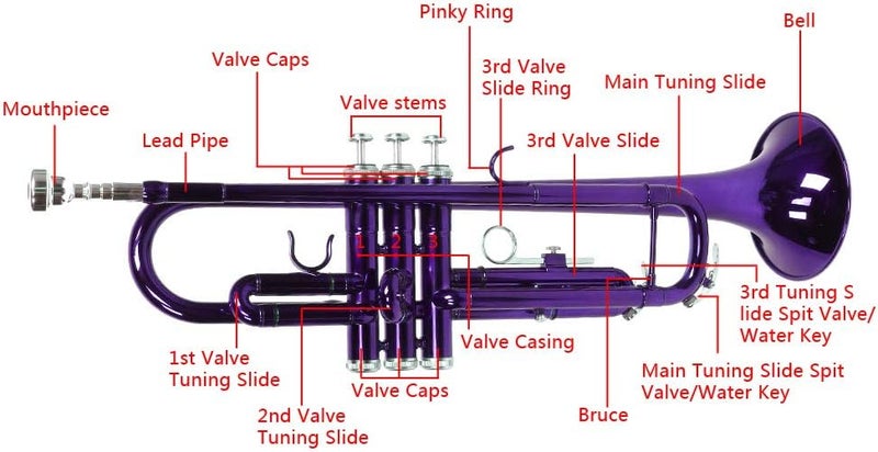 Vasitelan Brass Standard B Trumpet Instrument with Case,Gloves, for Beginner (Purple) - Image 5
